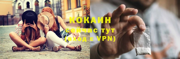 сатива Лагань