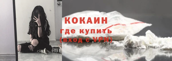 сатива Лагань