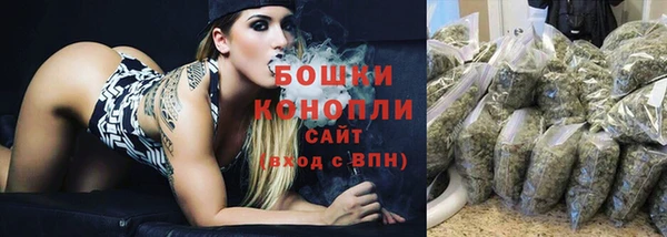 стаф Ладушкин