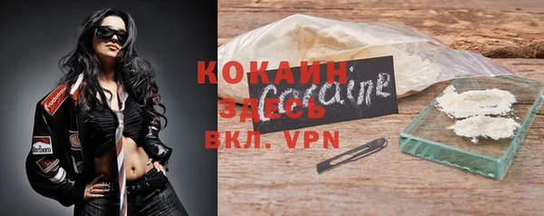 стаф Ладушкин