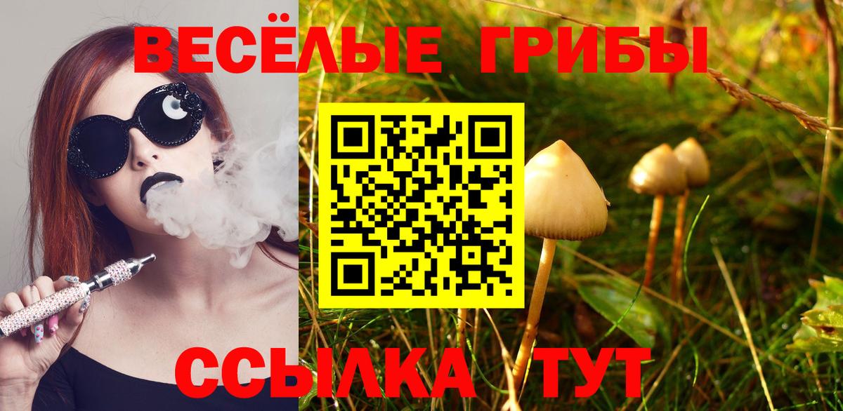 Южноуральск  Псилоцибиновые грибы Psilocybe  Вход с VPN 